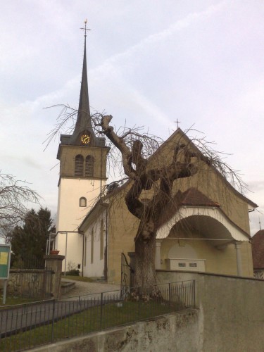 Rechthalten - église 1.jpg